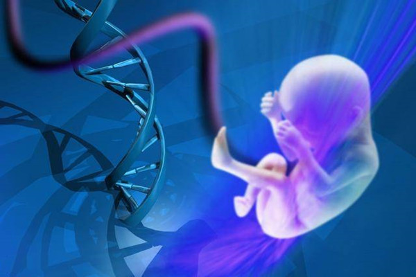 试管婴儿为什么要做染色体筛查？