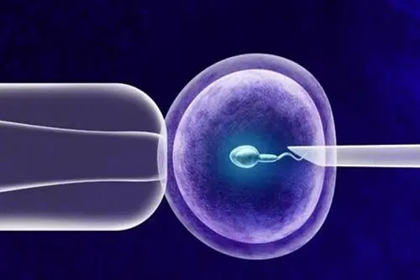 哪些情况适合鲜胚移植？
