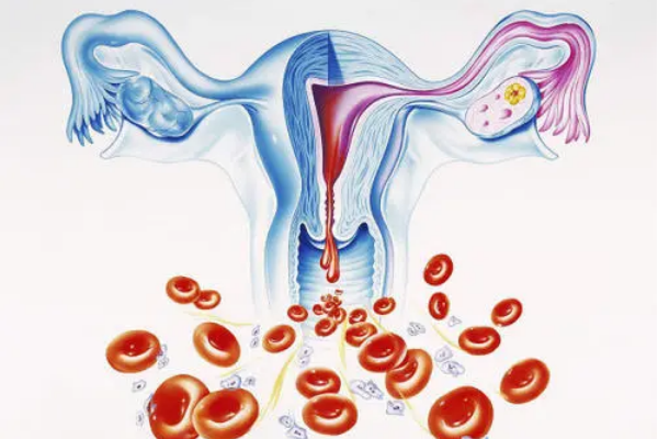 子宫内膜出现问题，受孕难如何解决？