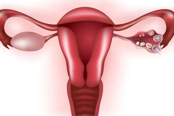 逐渐衰老的卵巢与子宫对你怀孕有影响吗？