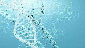 试管基因检测可以筛查哪些疾病?