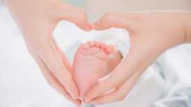 【多多养娃记】6~7个月的宝宝的生长发育和养护指南