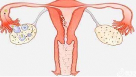 不止提升卵子质量!辅酶Q10对女性卵巢的作用并不少