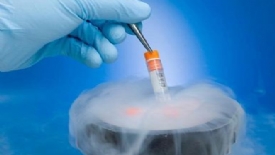 美国试管婴儿冻胚移植六大准则
