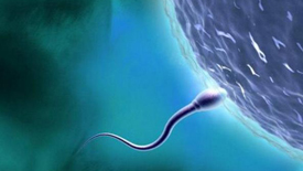 男性精子活力太弱 想要形成超级精子可以吃高蛋白食物吗？