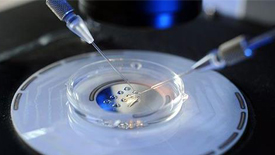 美国试管婴儿为什么要做囊胚培养?