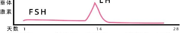 LH试纸推算排卵期