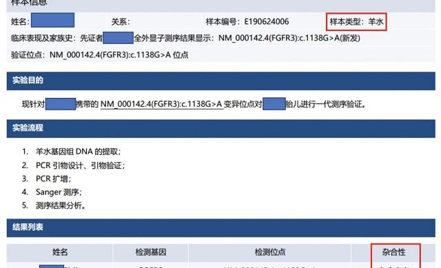 基因检测报告示例