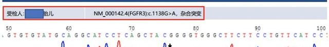 基因检测异常