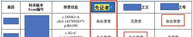 检测结果提示患儿致病基因来自父母双方