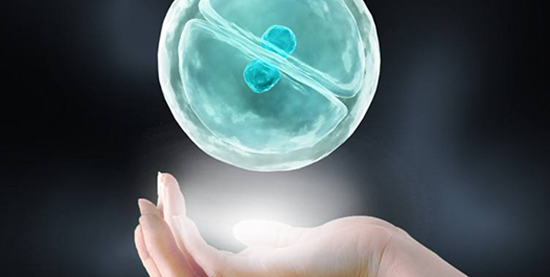 胚胎移植失败多久可以再移植