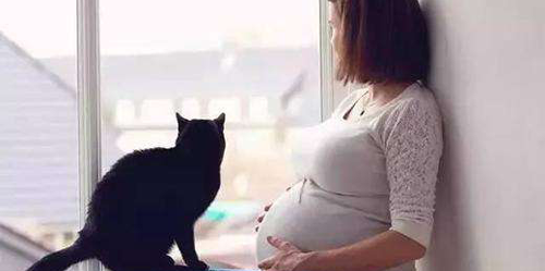 备孕中预示怀孕的胎梦
