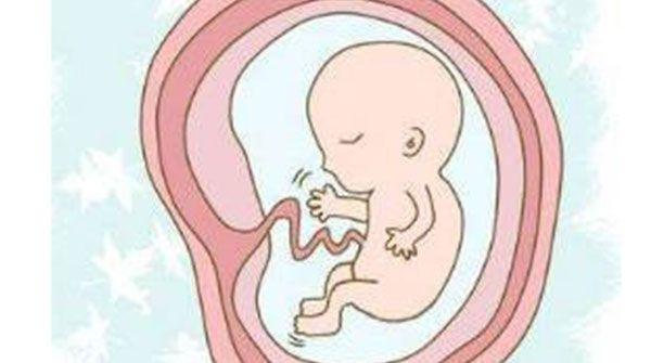 胎儿是否患病需要更精确的检查