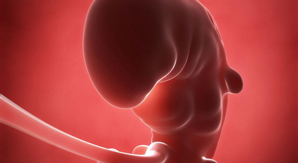 胎停的诊断标准是什么