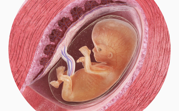 妊娠囊4cm一般是能够找到胎芽的