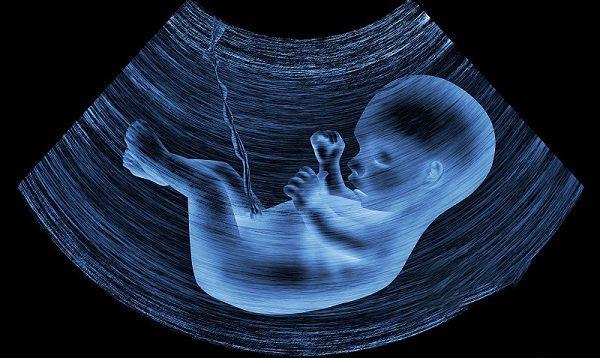 孕八月胎儿在肚子图片图片