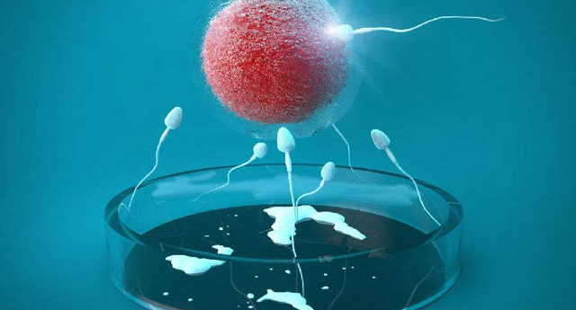 精液属于生殖细胞也存在被感染等问题