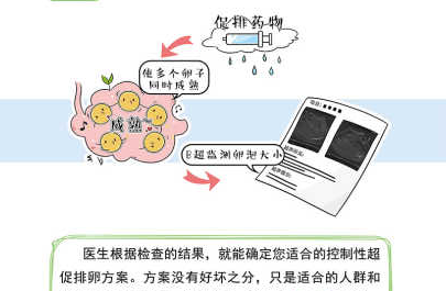 试管婴儿促排卵