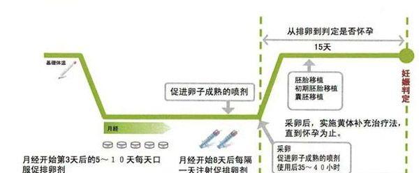 赴泰试管选择哪种促排方案好？客观解读微刺激方案的利弊