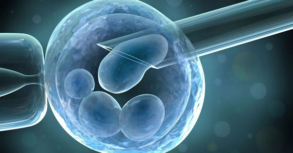 超长方案促排后是可以直接进行鲜胚移植的