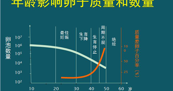 年龄影响试管婴儿成功率