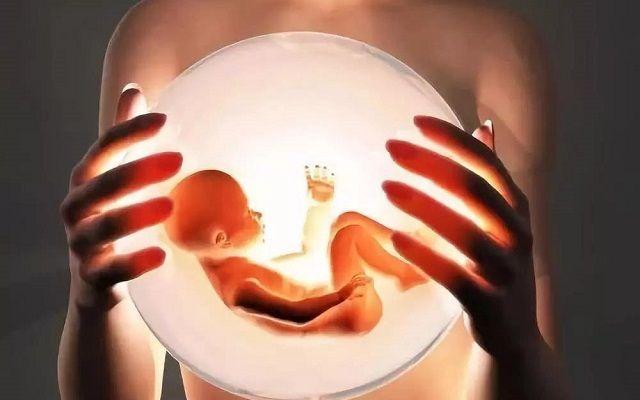 胚胎的质量是决定试管婴儿成功率的重要因素.jpg