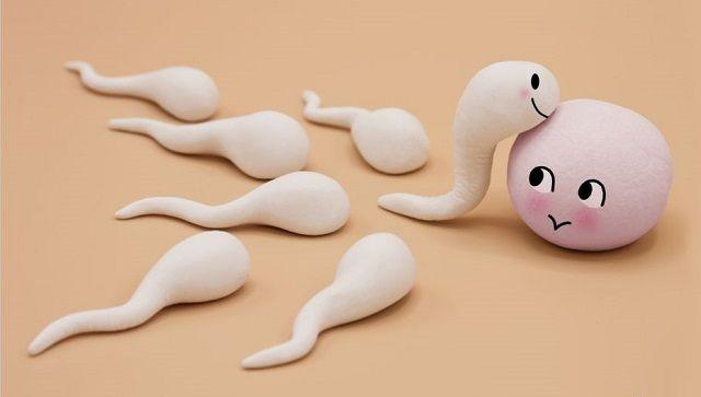 精子不液化可通过试管婴儿怀孕