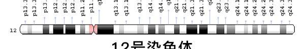 12号染色体图表