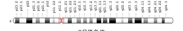 8号染色体图表