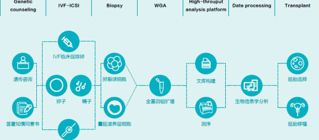 第三代试管婴儿检测流程