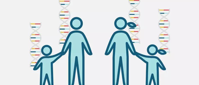 三代试管可以避免染色体异常吗