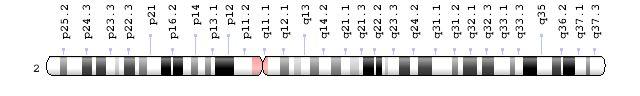 2号染色体图表