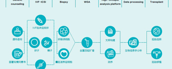 第三代试管婴儿检测流程