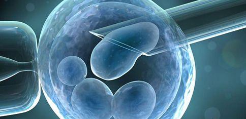 胚胎植入前诊断技术