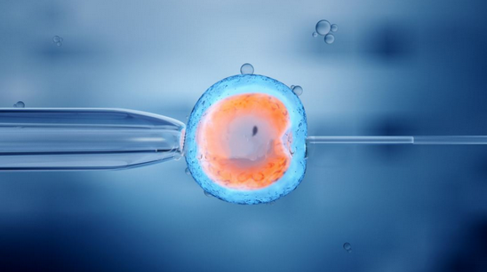 冻胚移植失败的征兆有哪些