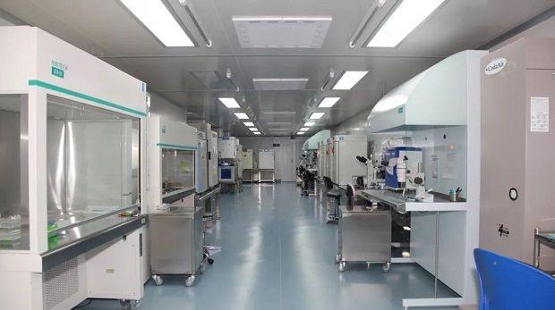 胚胎实验室环境
