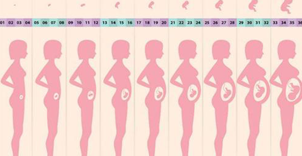 多囊怀孕后流产时间