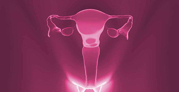 女性卵巢功能