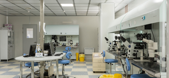 实验室和胚胎学
