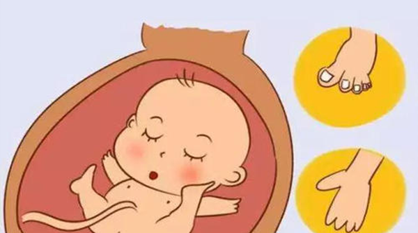 胎儿畸形也会导致胎儿留级