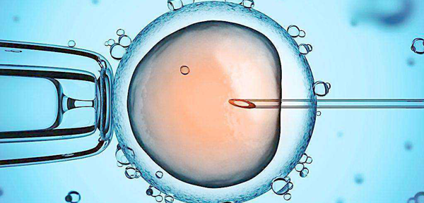马来西亚哪些医院能做供卵试管婴儿