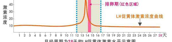 LH峰值图