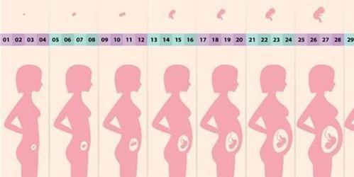 试管移植26天是怀孕多少周