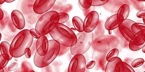 红细胞偏低会的白血病吗