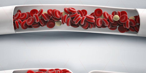 红细胞偏低可能是由于其中的血红素问题
