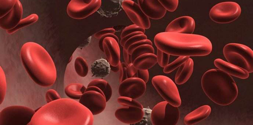 红细胞一旦出现生成问题可能就是白血病等等