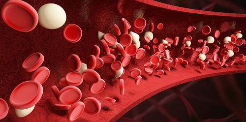 血红细胞偏低怎么治疗