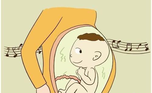 怀孕9周胎儿头臀长多少是男孩?