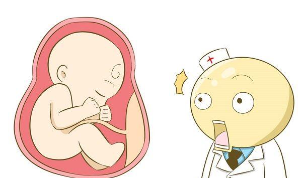 胎盘的成熟度是否超过怀孕月份常用以衡量胎盘功能是否减弱