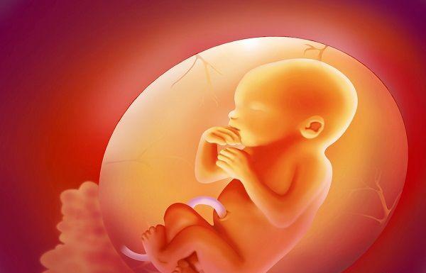 孕妇年龄是新生儿窒息的因素之一
